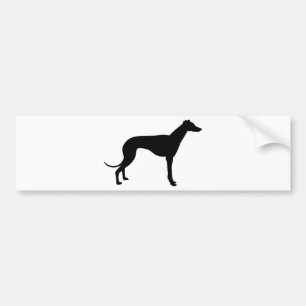 Greyhound Silhouette Bumper Sticker
