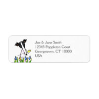 Greyhound Sweetheart White