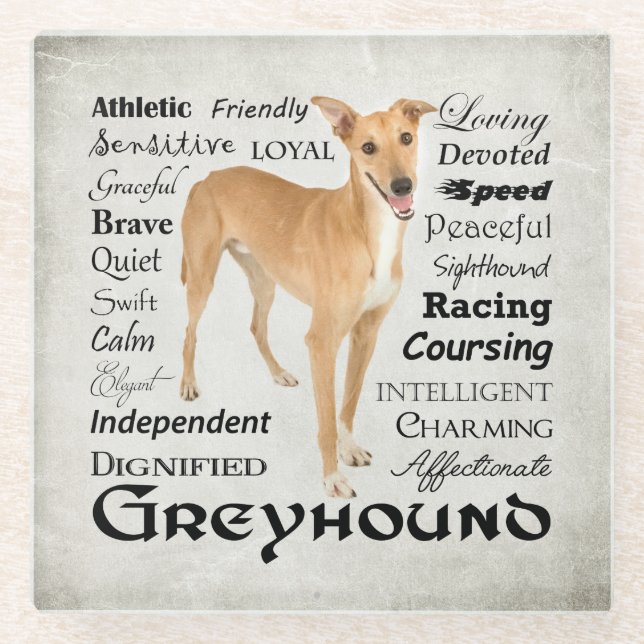 Greyhound Traits Glass Coaster (Front)