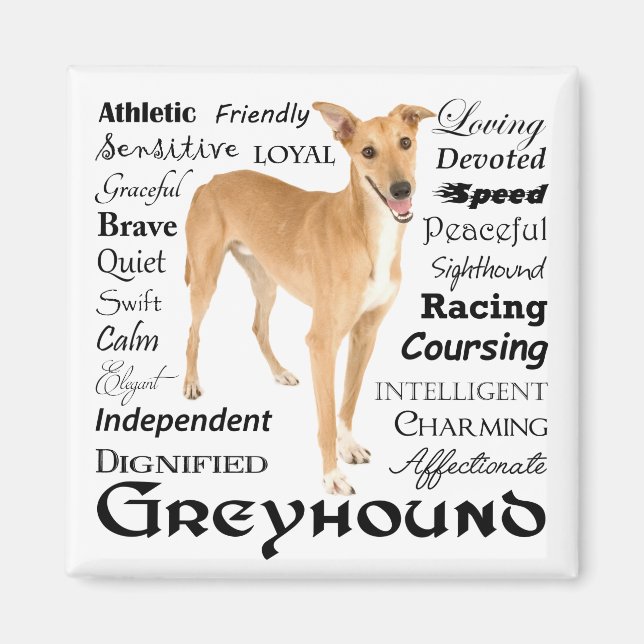 Greyhound Traits Magnet (Front)