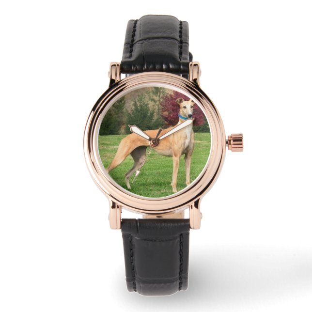 Greyhound Watch (Front)