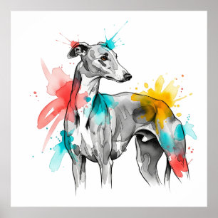 Greyhound Watercolor Ink Splash Illustration Poster