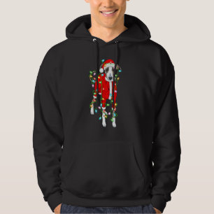 Greyhound Xmas Lighting Santa Hat Greyhound Chris Hoodie