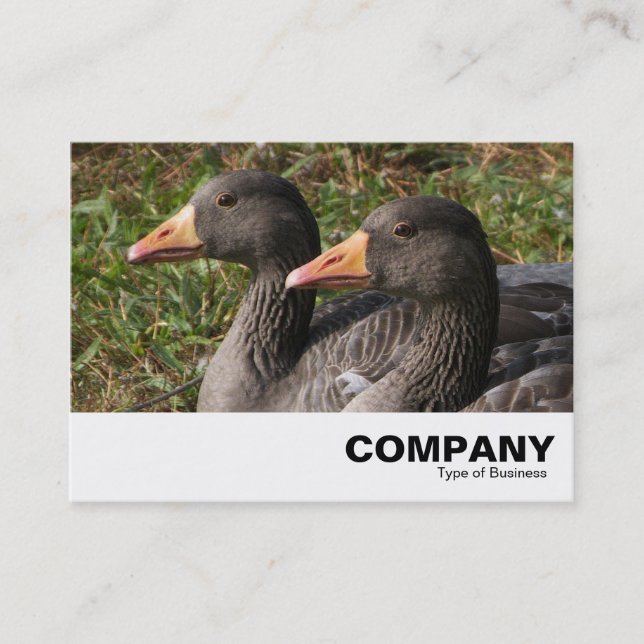 Greylag Geese Business Card (Front)