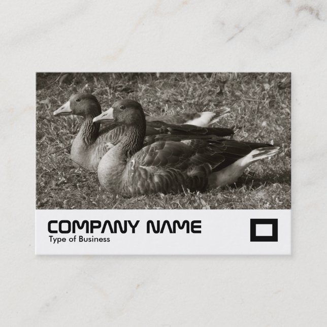 Greylag Geese (Sepia) Business Card (Front)