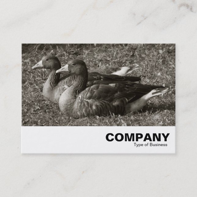 Greylag Geese (Sepia) Business Card (Front)