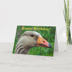 Greylag goose customisable greetings card