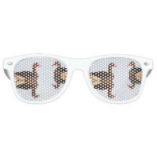 Greylag goose geese retro sunglasses