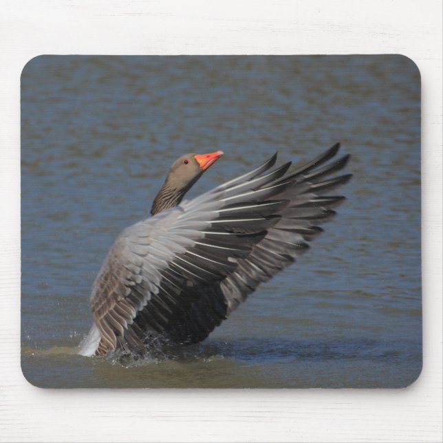 Greylag Goose Mouse Pad (Front)