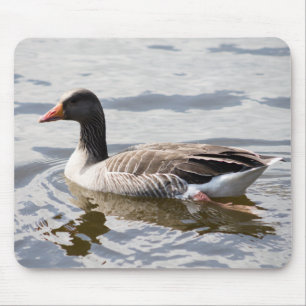 Greylag Goose Mouse Pad