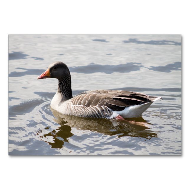 Greylag Goose Table Number (Front)