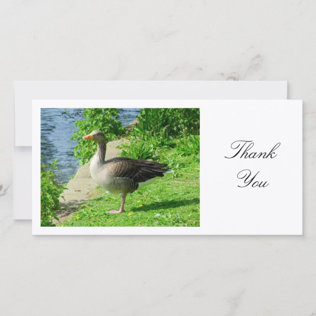 Greylag Goose - Thank You Card (Front)