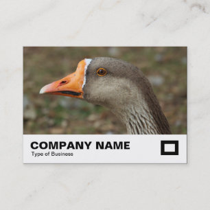 Greylag Swan Goose Cross Business Card