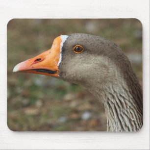 Greylag Swan Goose Cross Mouse Pad