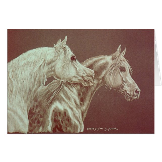 Greys (Front Horizontal)