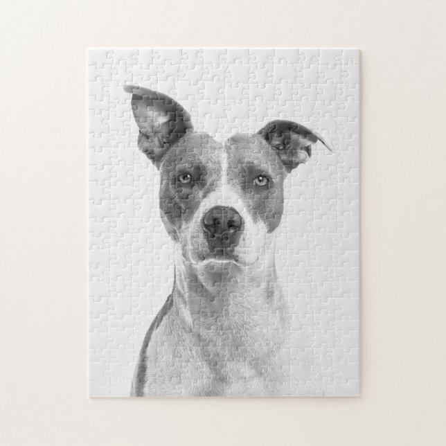 Greyscale Short Haired Dog in Black and White Jigsaw Puzzle (Vertical)