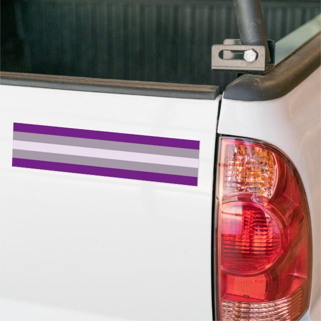 Greysexual Pride Bumper Sticker (On Truck)
