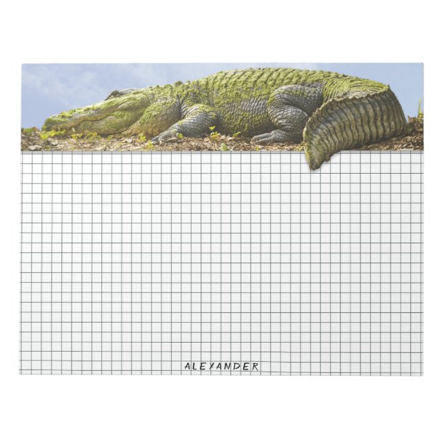 Grid Nature Photography Huge Gator Panoramic Notepad (Front)