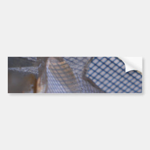 Gridflections Bumper Sticker