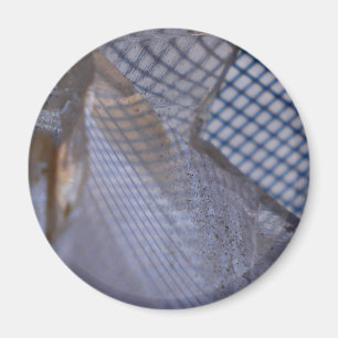 Gridflections Magnet