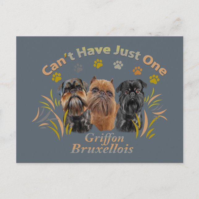 Griffon Brussels Can't Have Just One Postcard (Front)