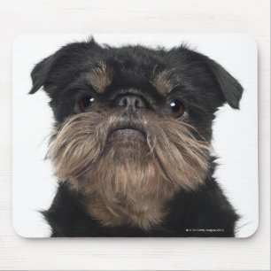 Griffon Bruxellois close-up Mouse Pad