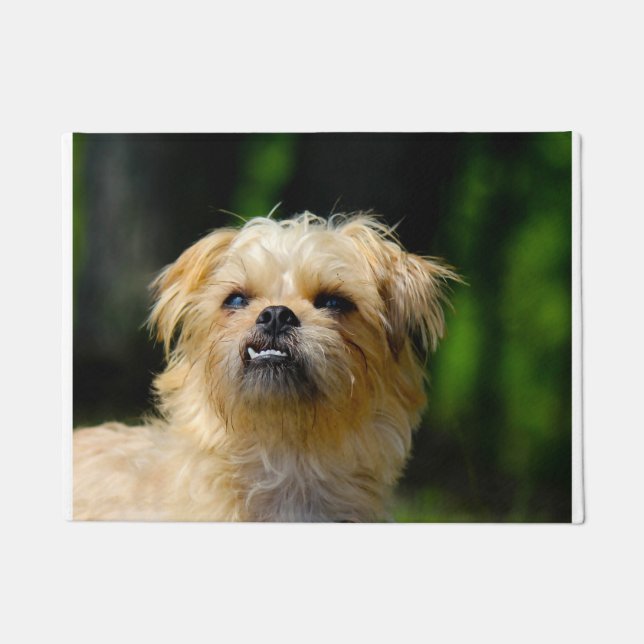 Griffon Dog Doormat (Front)