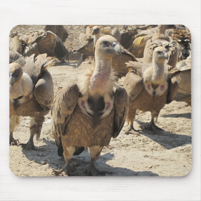 Griffon Vulture Mouse Pad (Front)