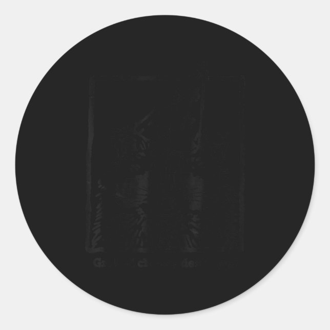 Grilled Cheese Destroyer Funny Racoon Meme  Classic Round Sticker (Front)