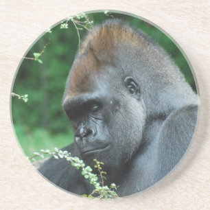 Grim Gorilla Coaster