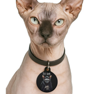 Grim Reaper Sphynx Cat Custom Pet ID Tag