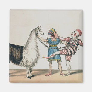 Grimaldi and the Alpaca, in the Popular Pantomime Magnet