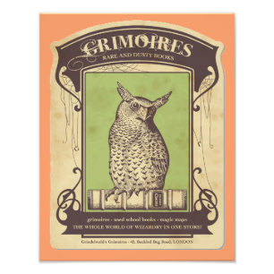 Grimoires Owl Photo Print