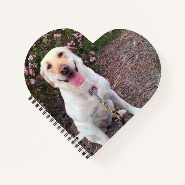 Grin Notebook (Front)