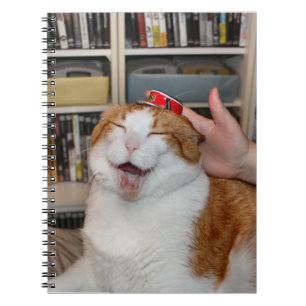 Grin Notebook