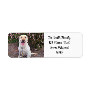 Grin Return Address Label
