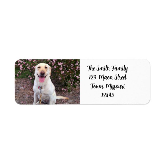 Grin Return Address Label (Front)