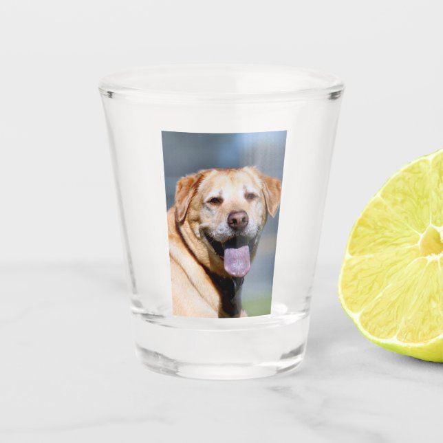 Grin Shot Glass (Front)