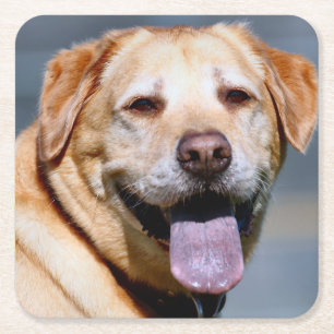 Grin Square Paper Coaster