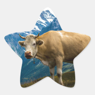 Grindelwald Cow - Bernese Alps - Switzerland Star Sticker