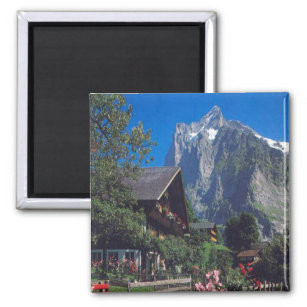 Grindelwald, Jungfrau region Magnet