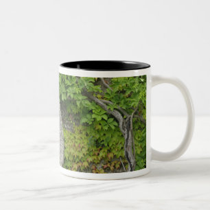 Grinding stone, Castle Banfi in Tuscany region, Two-Tone Coffee Mug