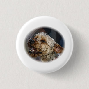 Grinning Border Terrier Cross 3 Cm Round Badge
