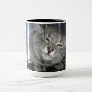 Grinning Cat After Drinking From Kitchen Tap, Two-Tone Coffee Mug