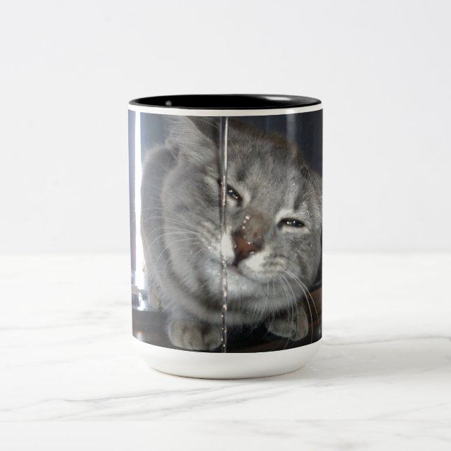 Grinning Cat After Drinking From Kitchen Tap, Two-Tone Coffee Mug (Center)