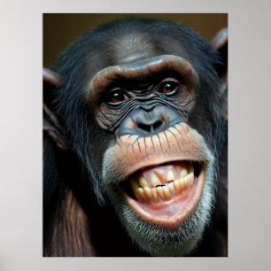 Grinning Chimpanzee Poster