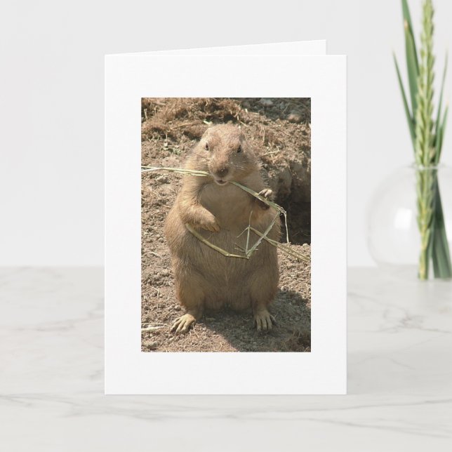 Grinning Groundhog Greeting Card (Front)