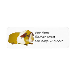 Grinning Guinea Pig Return Address Label