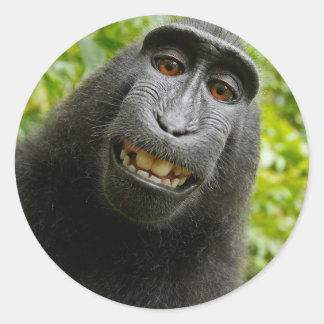 Grinning Monkey Classic Round Sticker