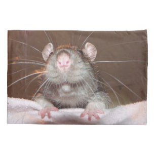 grinning rat pillow case